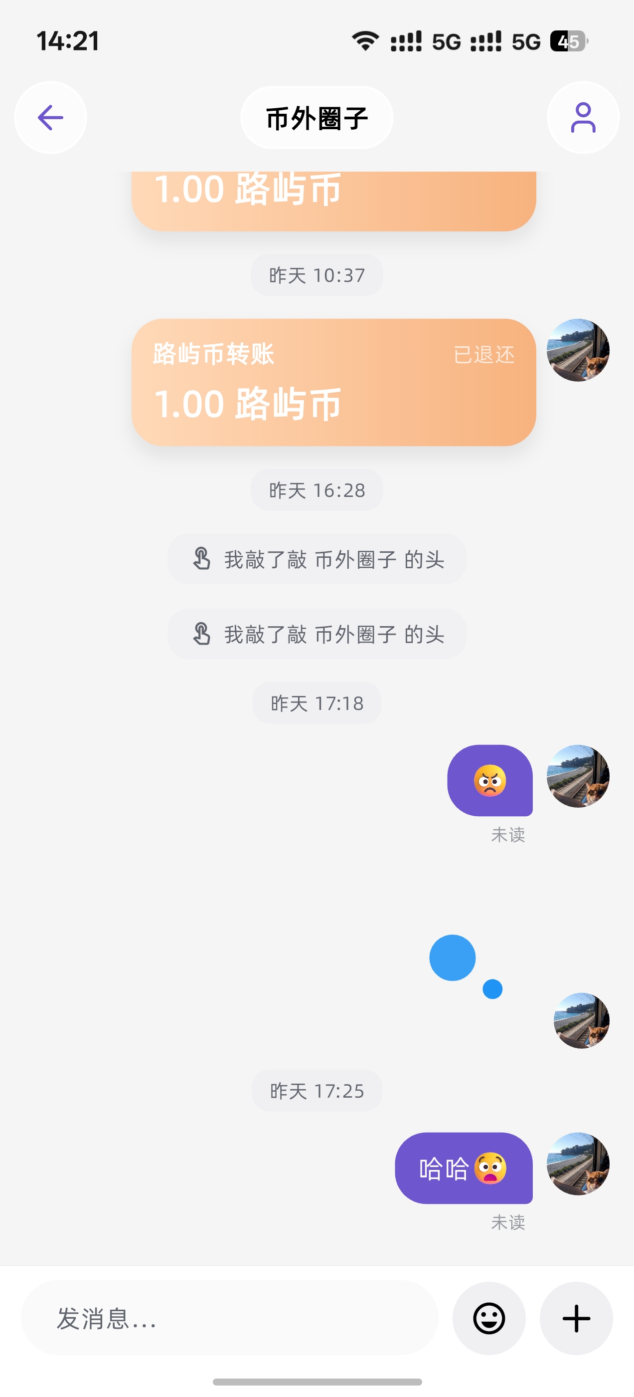 彼外路屿聊天页截图